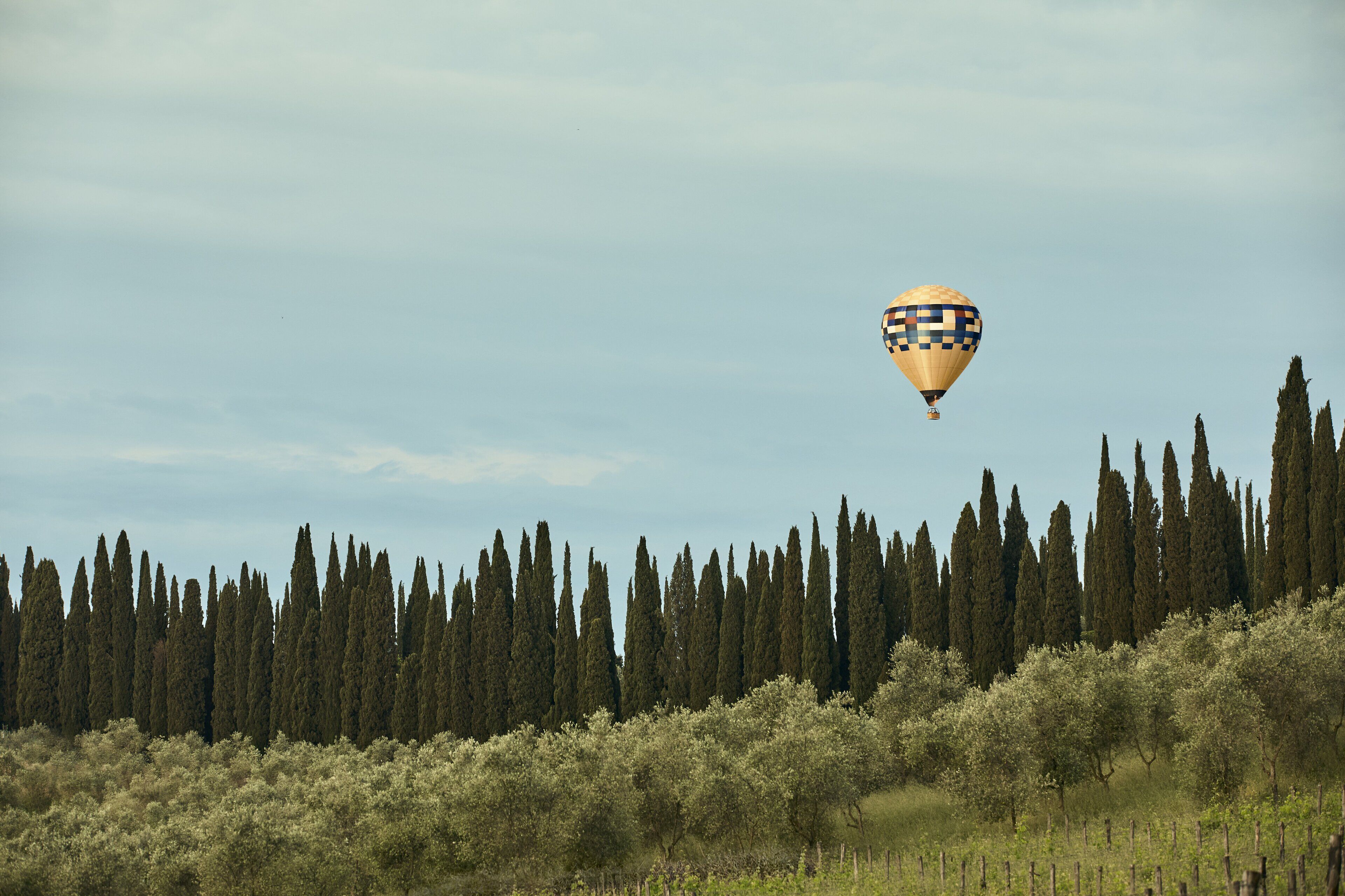 A hot air balloon flying over a landscape with tall cypress trees and a fence in the foreground.