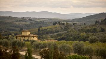A rural landscape with a small building surrounded by olive groves and rolling hills.