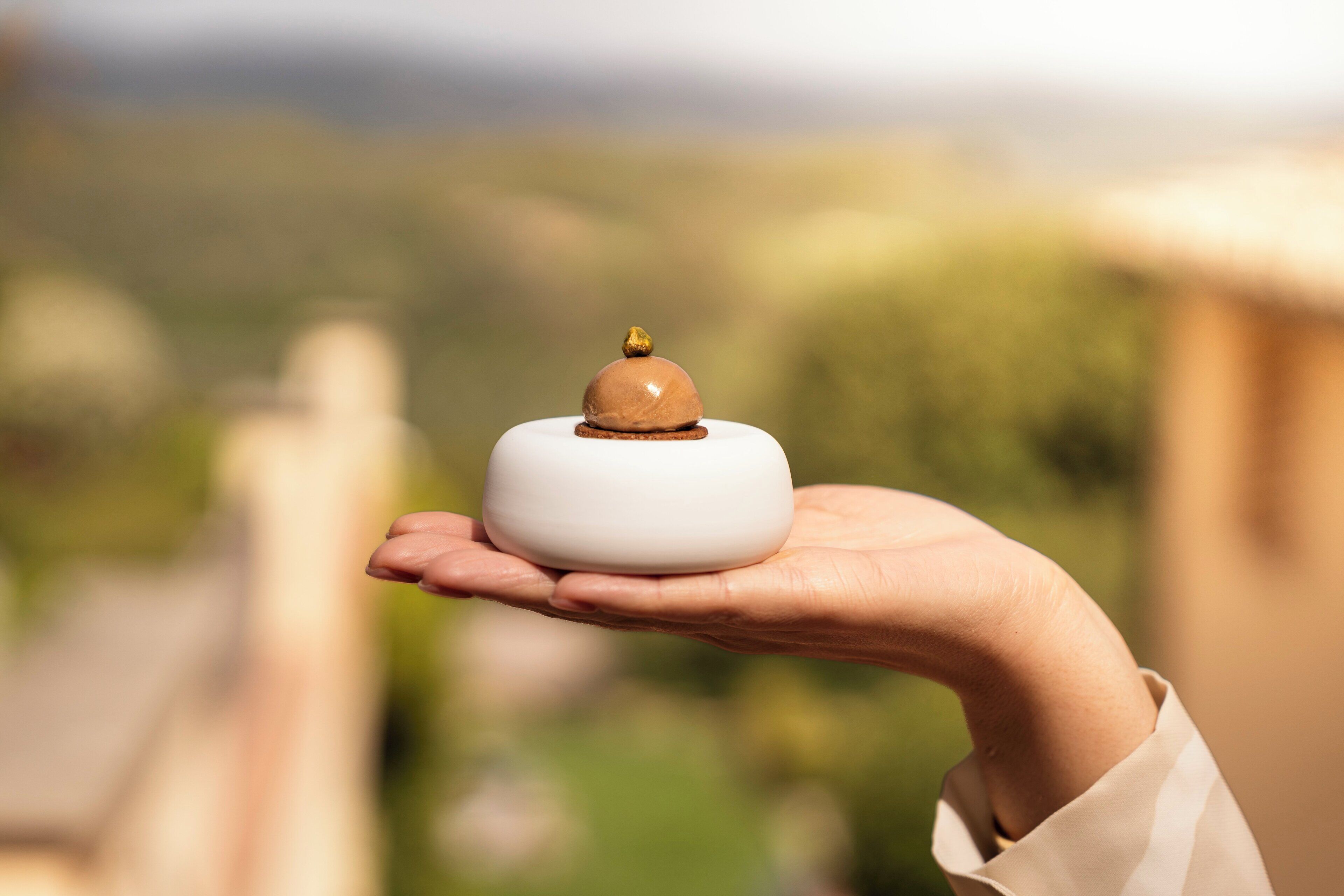 A hand holding a small, white, dome-shaped object with a golden top, set against a blurred outdoor background.