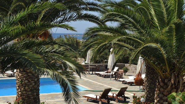 A poolside area with lounge chairs, umbrellas, and palm trees.