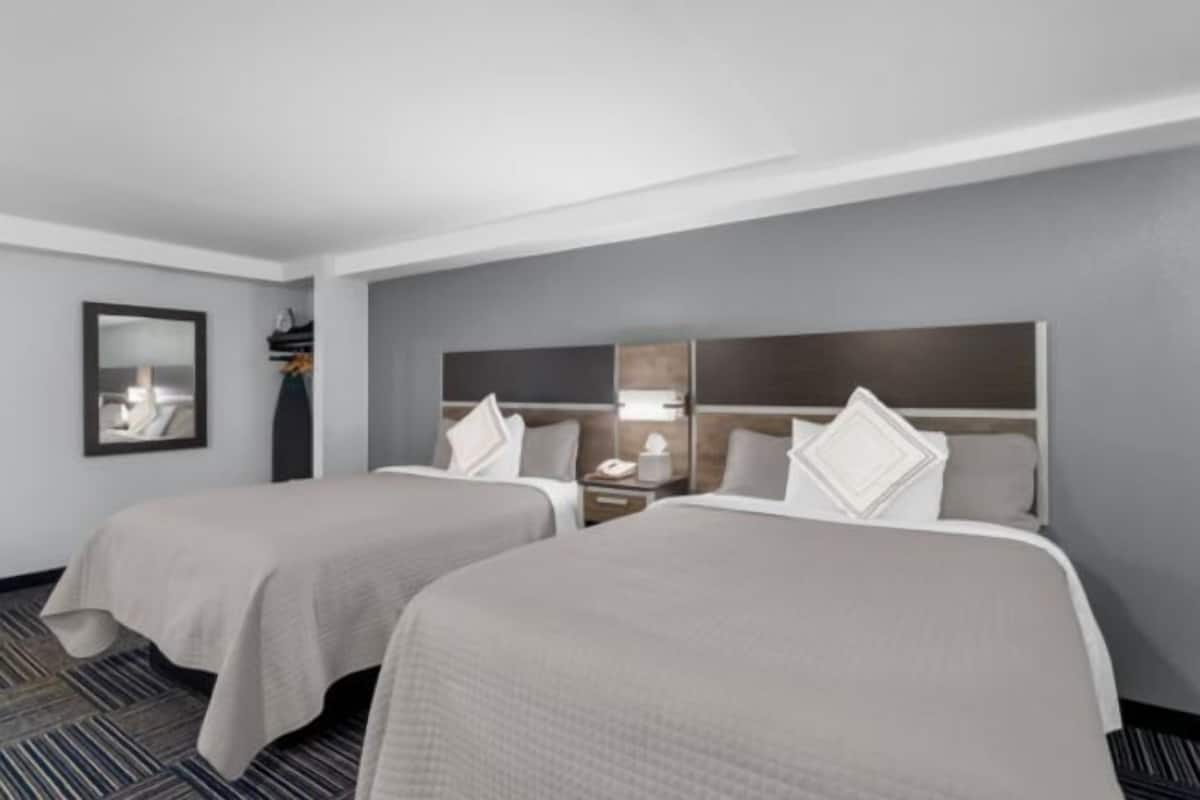 1 bedroom, in-room safe, desk, laptop workspace