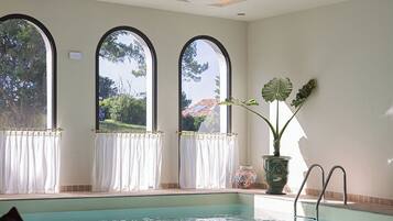 An indoor swimming pool with clear windows, a potted plant, and a poolside chair.