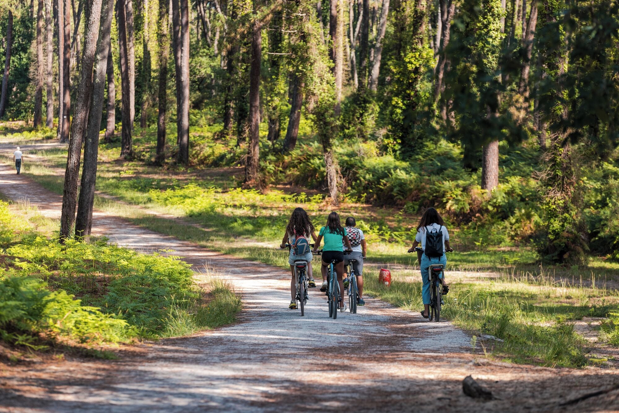 A group of people riding bicycles on a forested path.