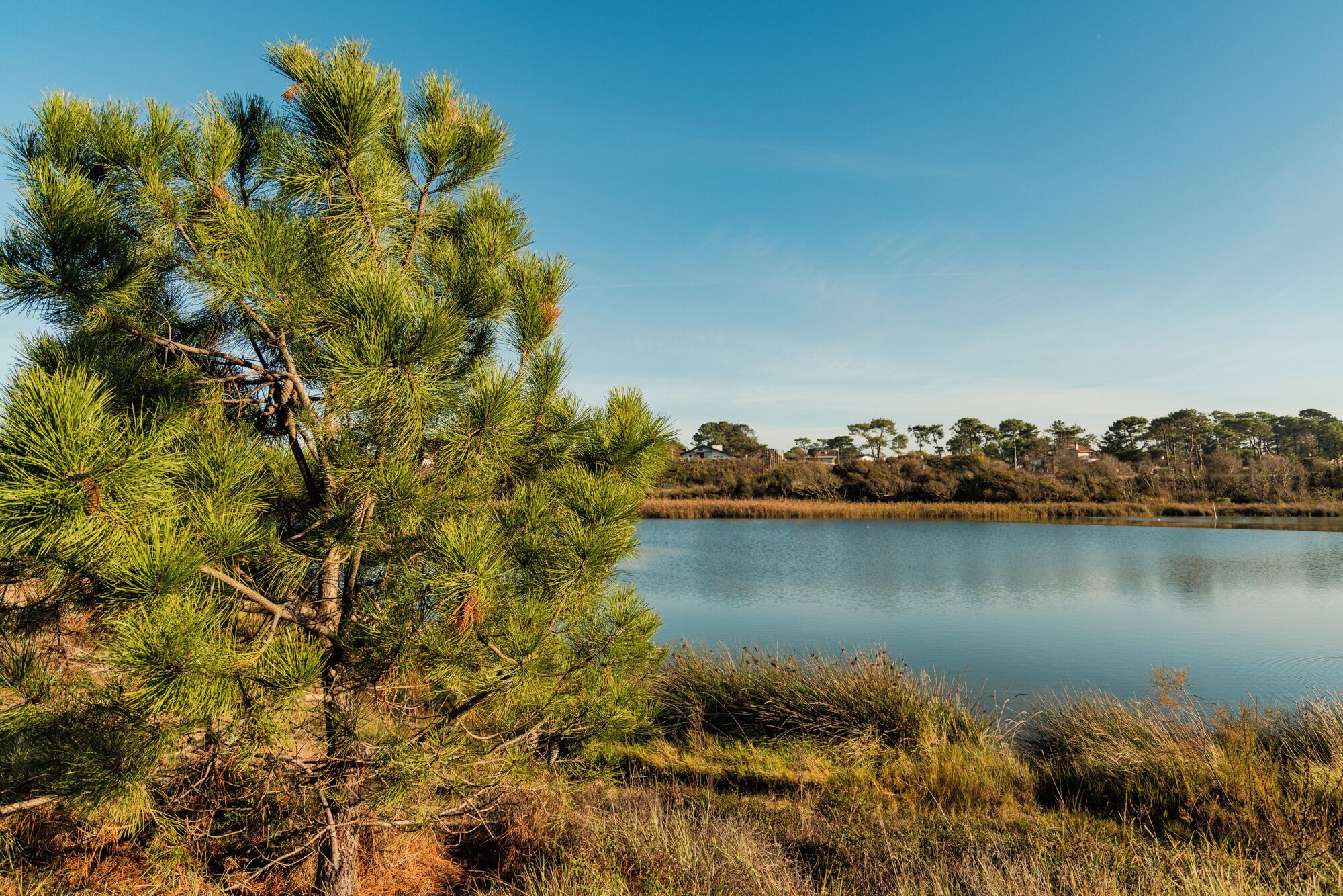 Foto - Hôtel Maison Chiberta