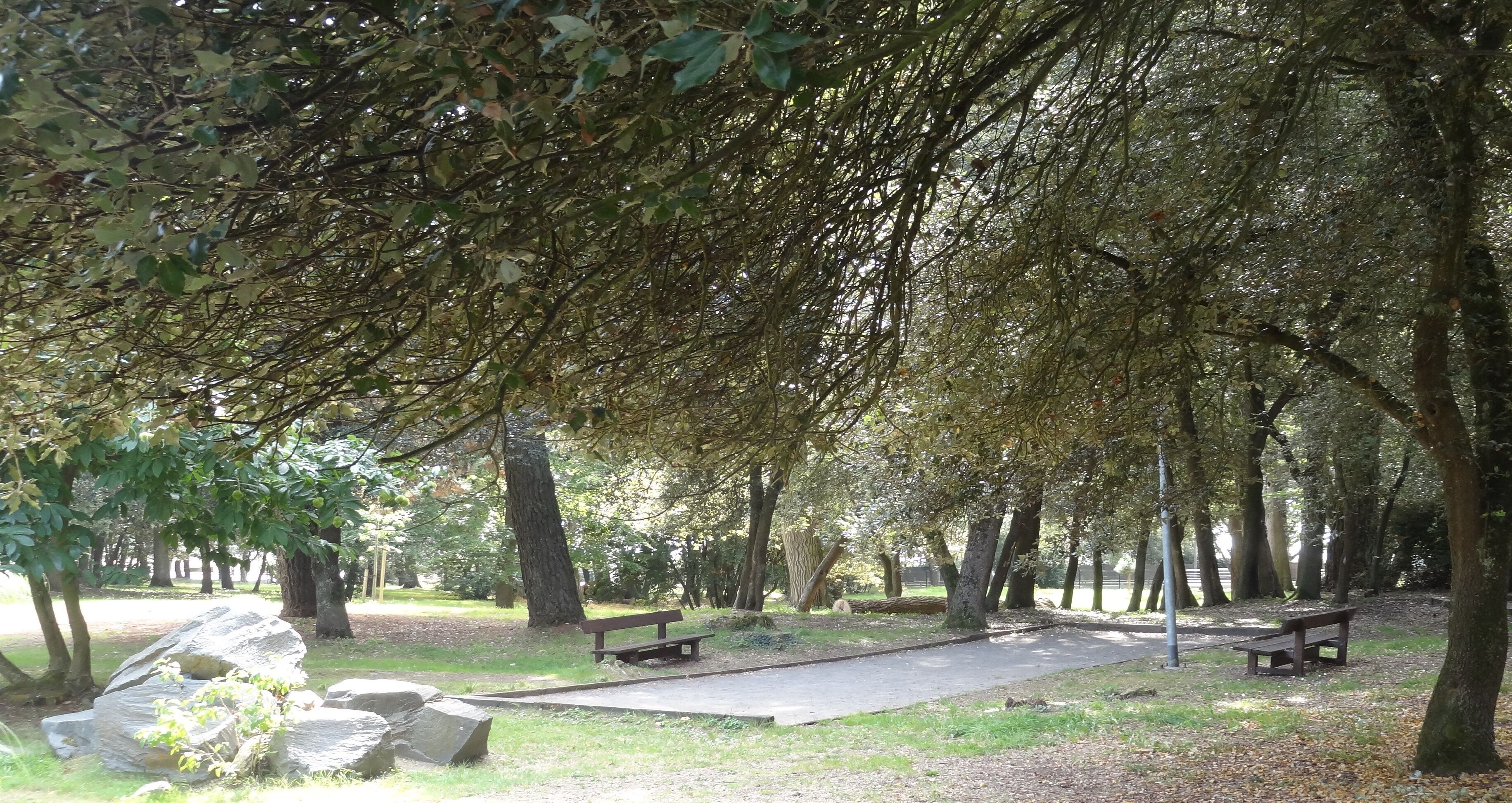 A park with benches and a paved area.