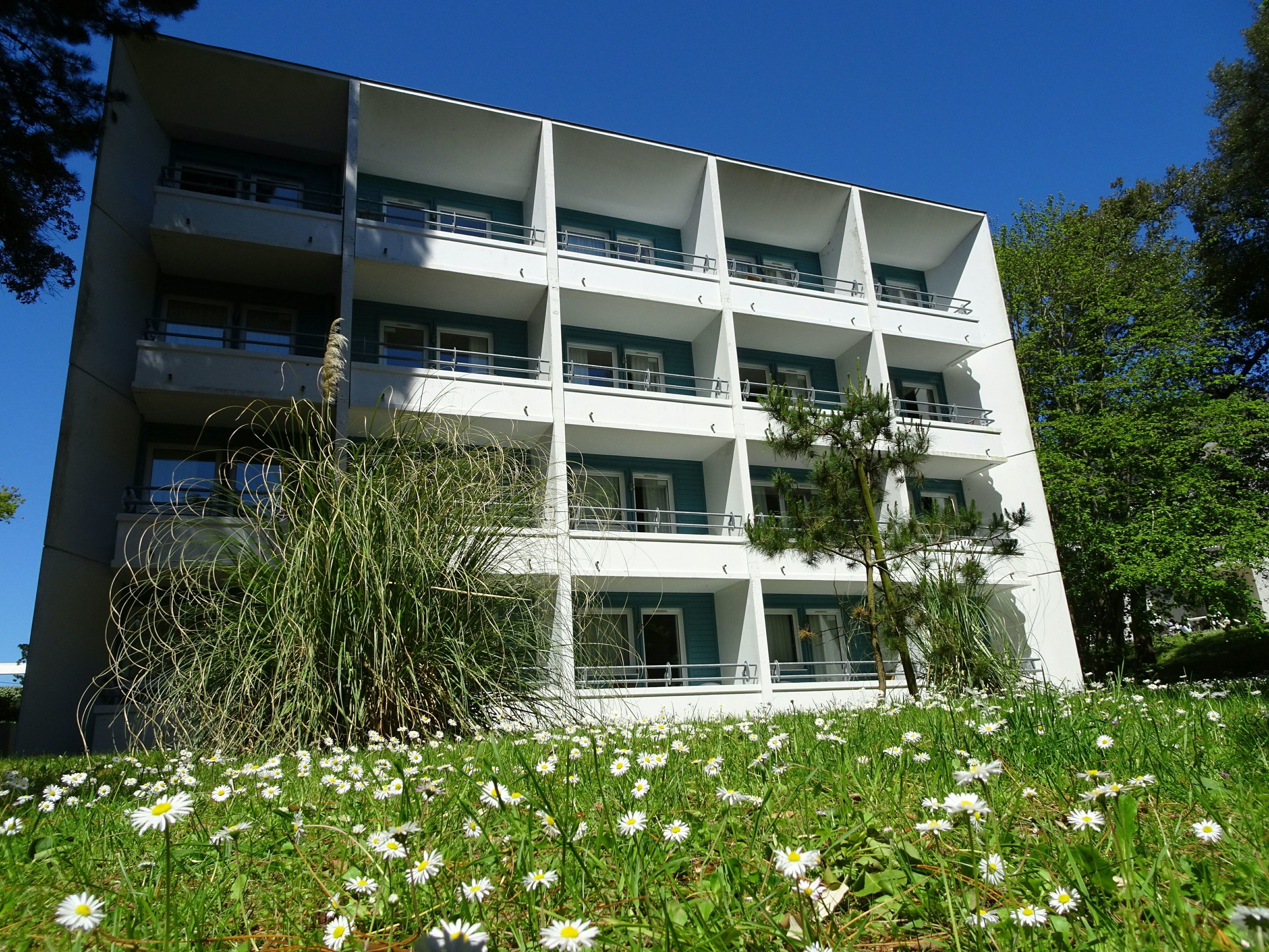 Un immeuble à plusieurs étages doté de balcons, entouré d’une pelouse parsemée de marguerites.