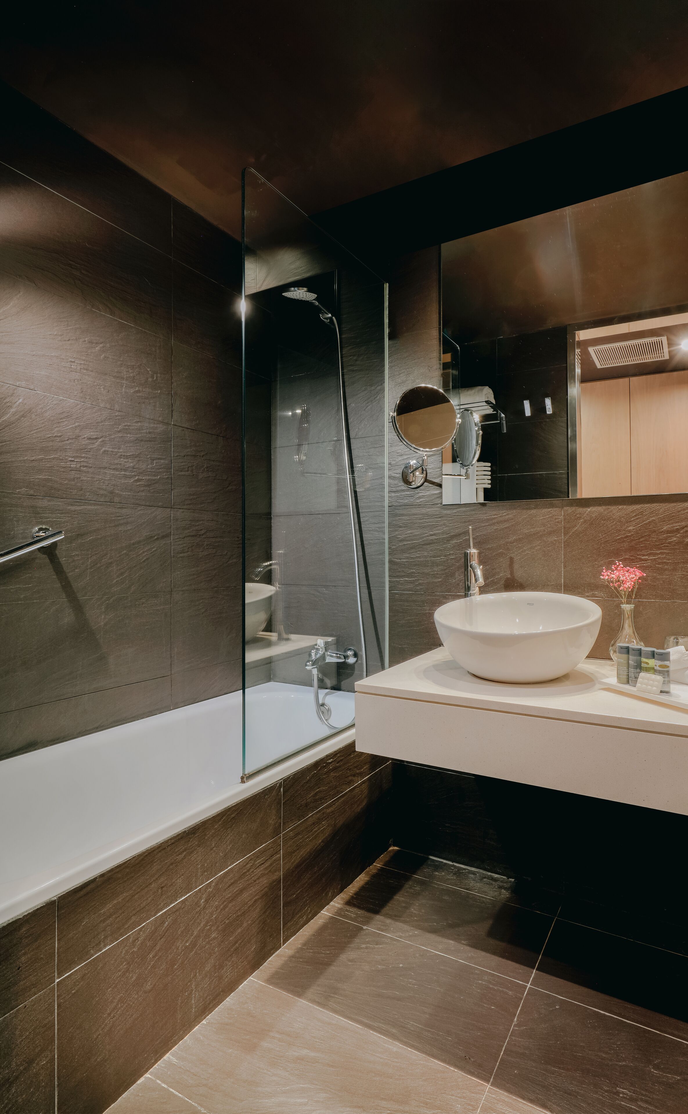 Photo - Hesperia Bilbao