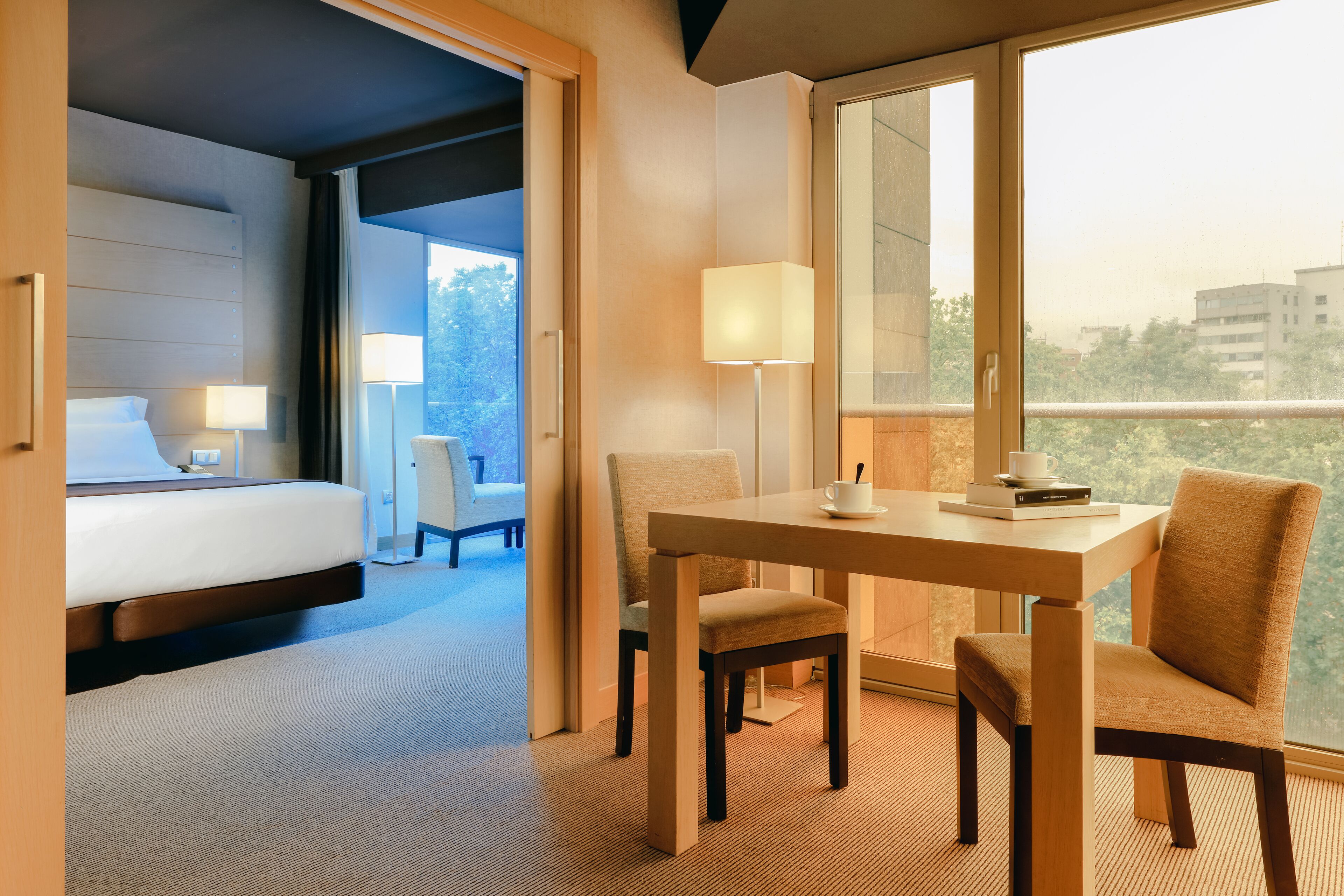 Photo - Hesperia Bilbao