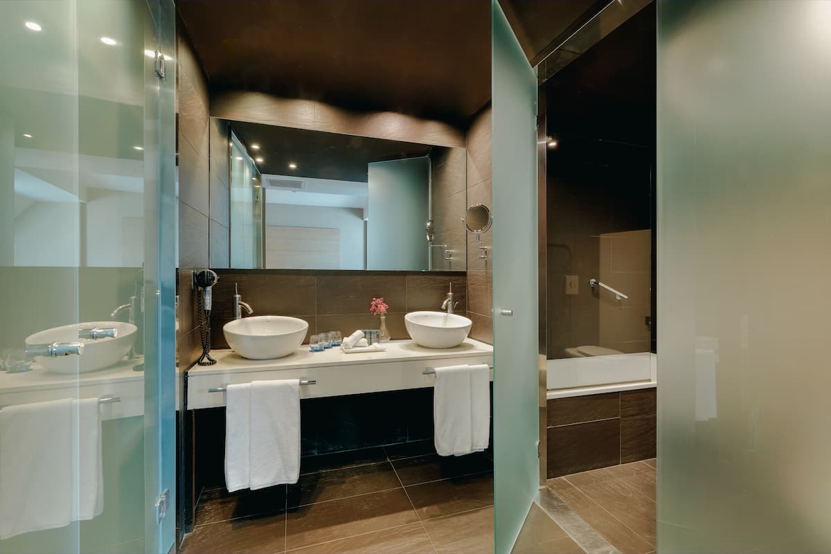 combined shower/bathtub, free toiletries, hair dryer, bidet