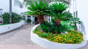 Entrada de la propiedad