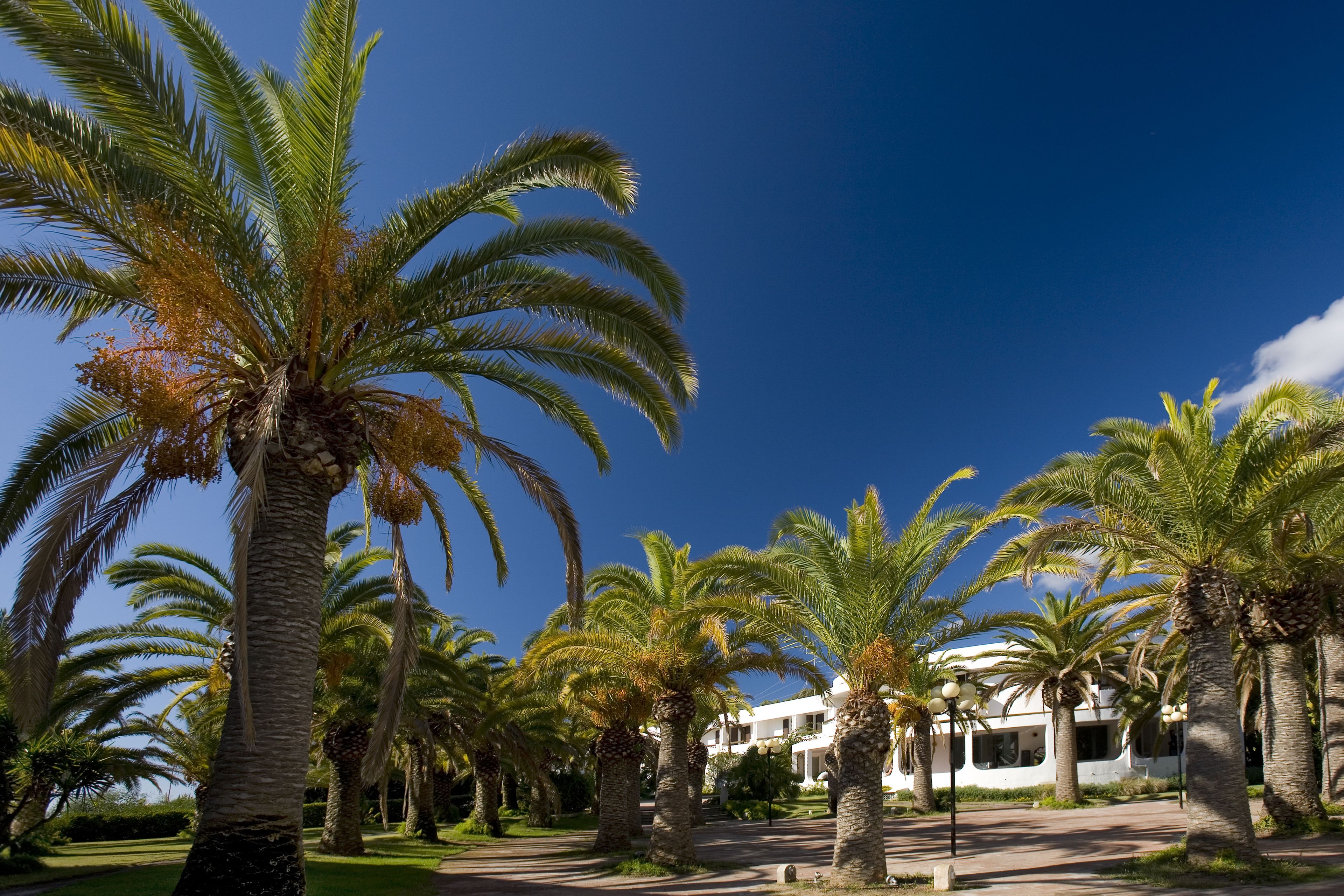 Jardín