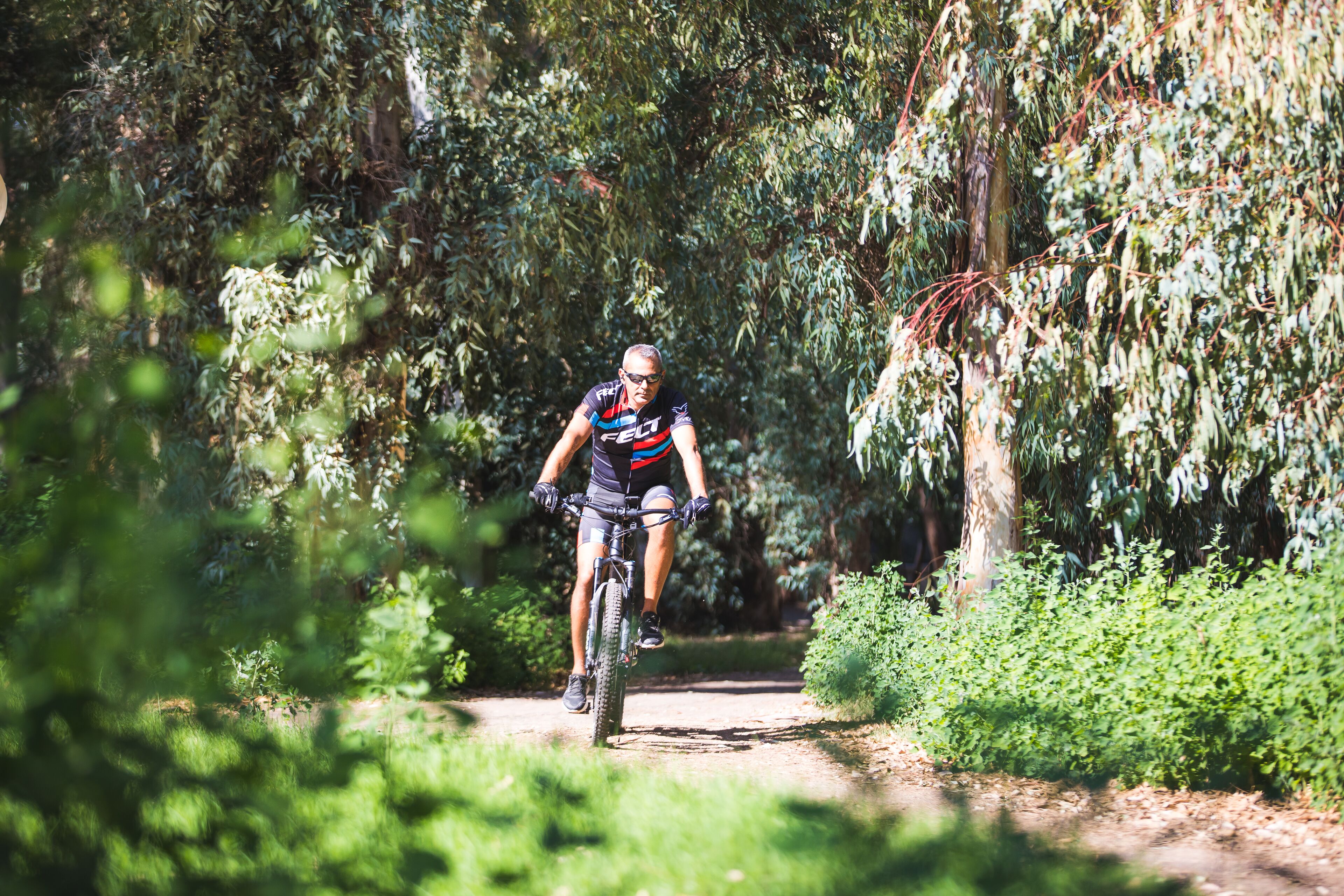 Ein Radfahrer auf einem Feldweg, umgeben von dichtem Grün.