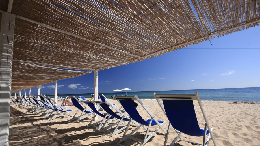 Hotel Flamingo Resort