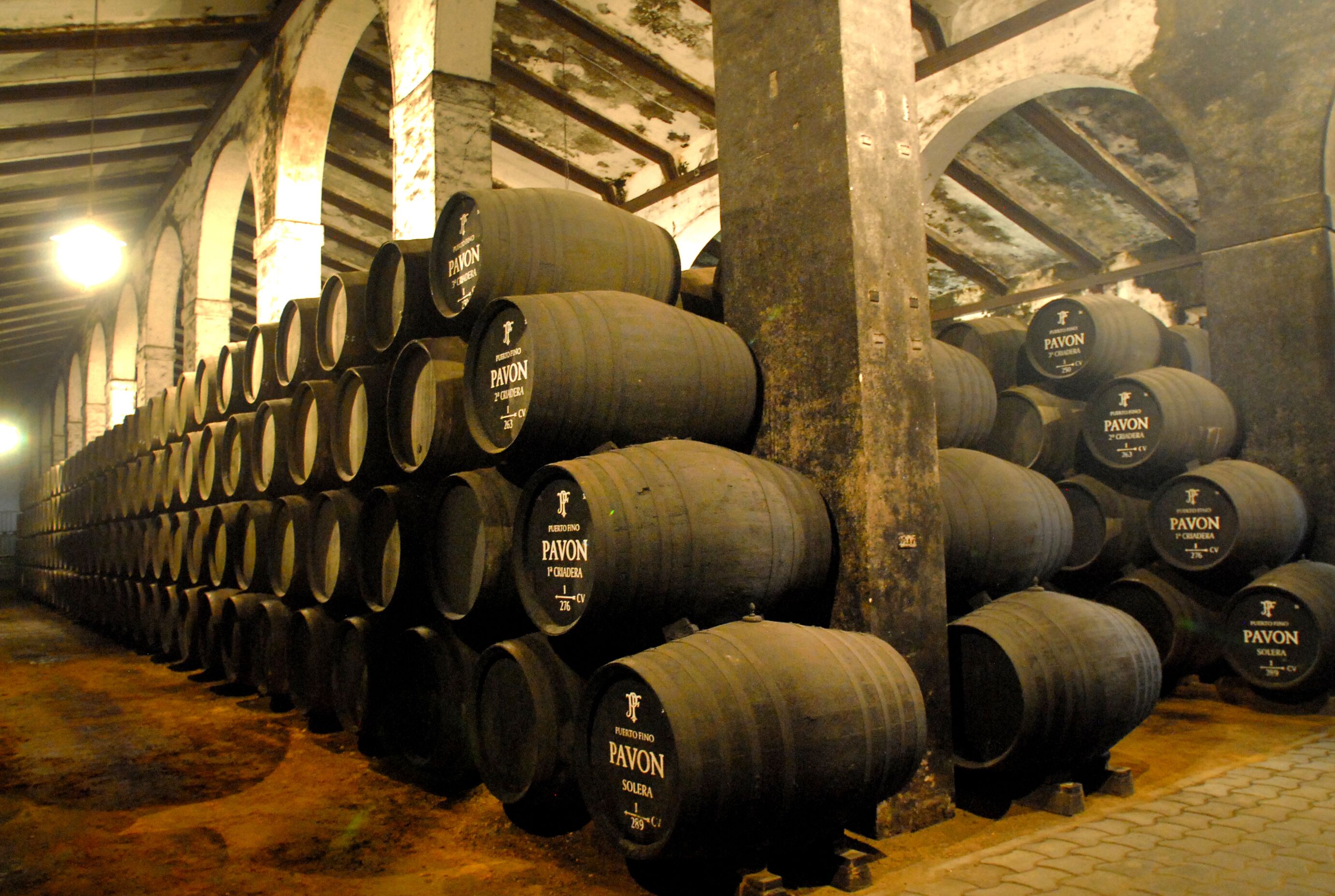 Foto - Hotel Alegria Bodega Real