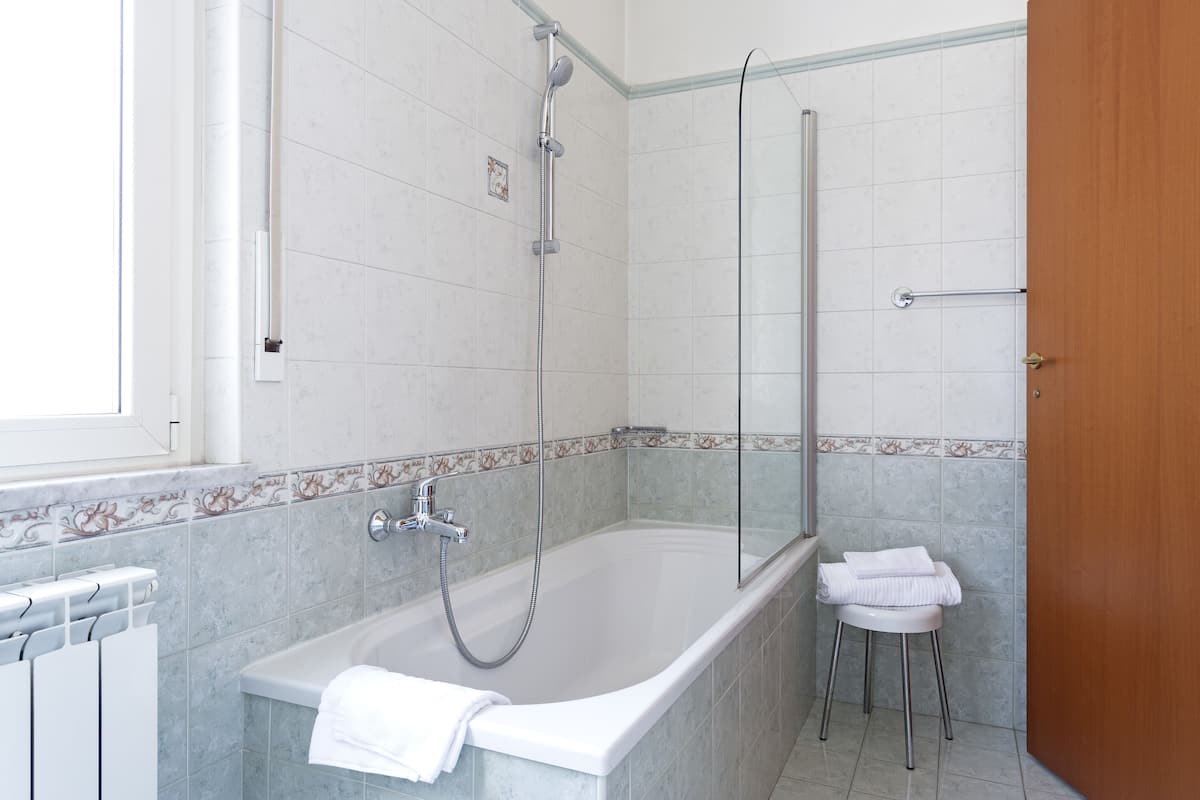 combined shower/bathtub, free toiletries, hair dryer, bidet