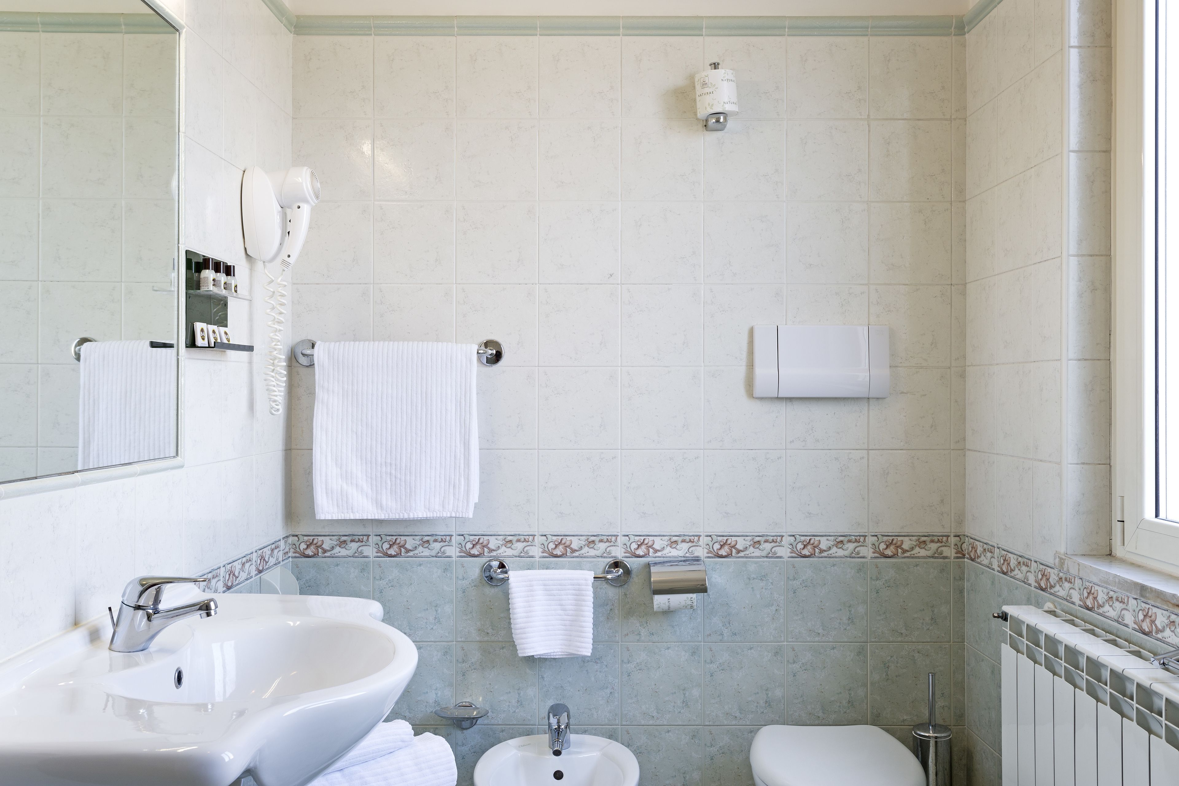 combined shower/bathtub, free toiletries, hair dryer, bidet