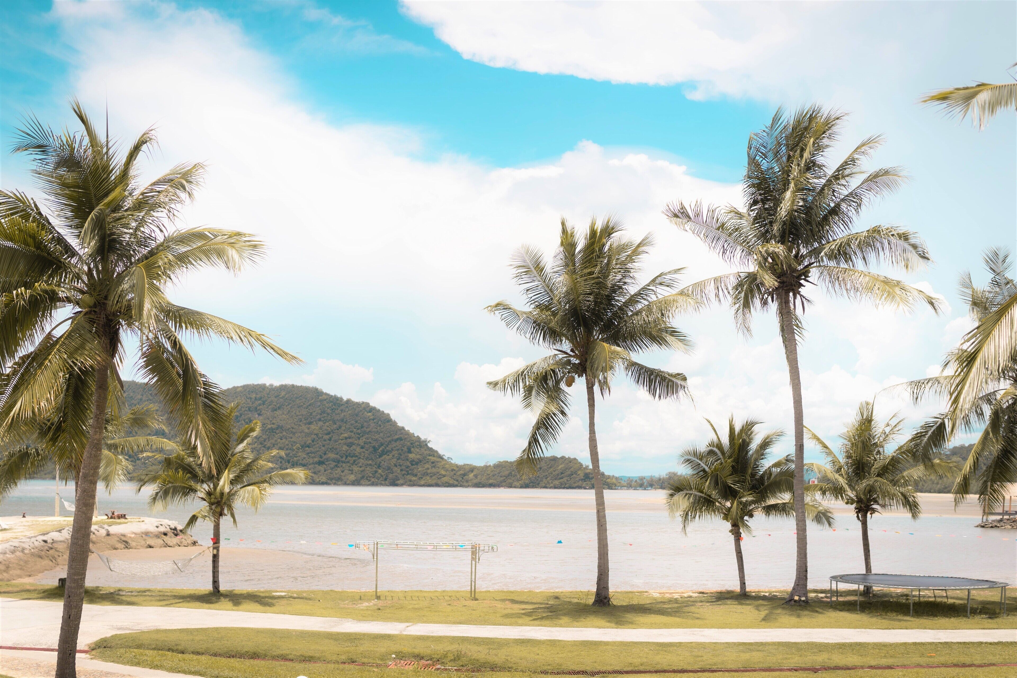 A beach with palm trees and a view of the water.