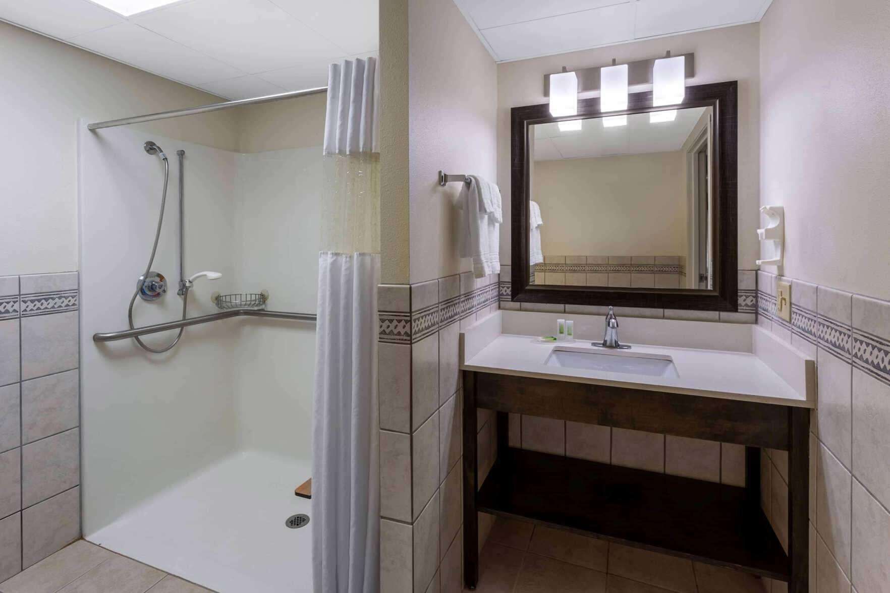 Bathroom | Combined shower/tub, free toiletries, hair dryer, towels