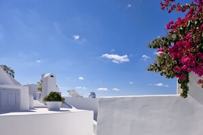 A white building with a potted plant and a vase on the rooftop.