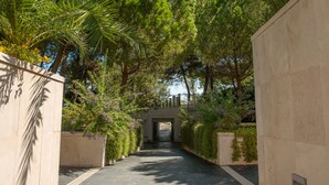 Un sentier bordé d’une végétation luxuriante et d’un mur de pierre, qui mène à une entrée abritée.