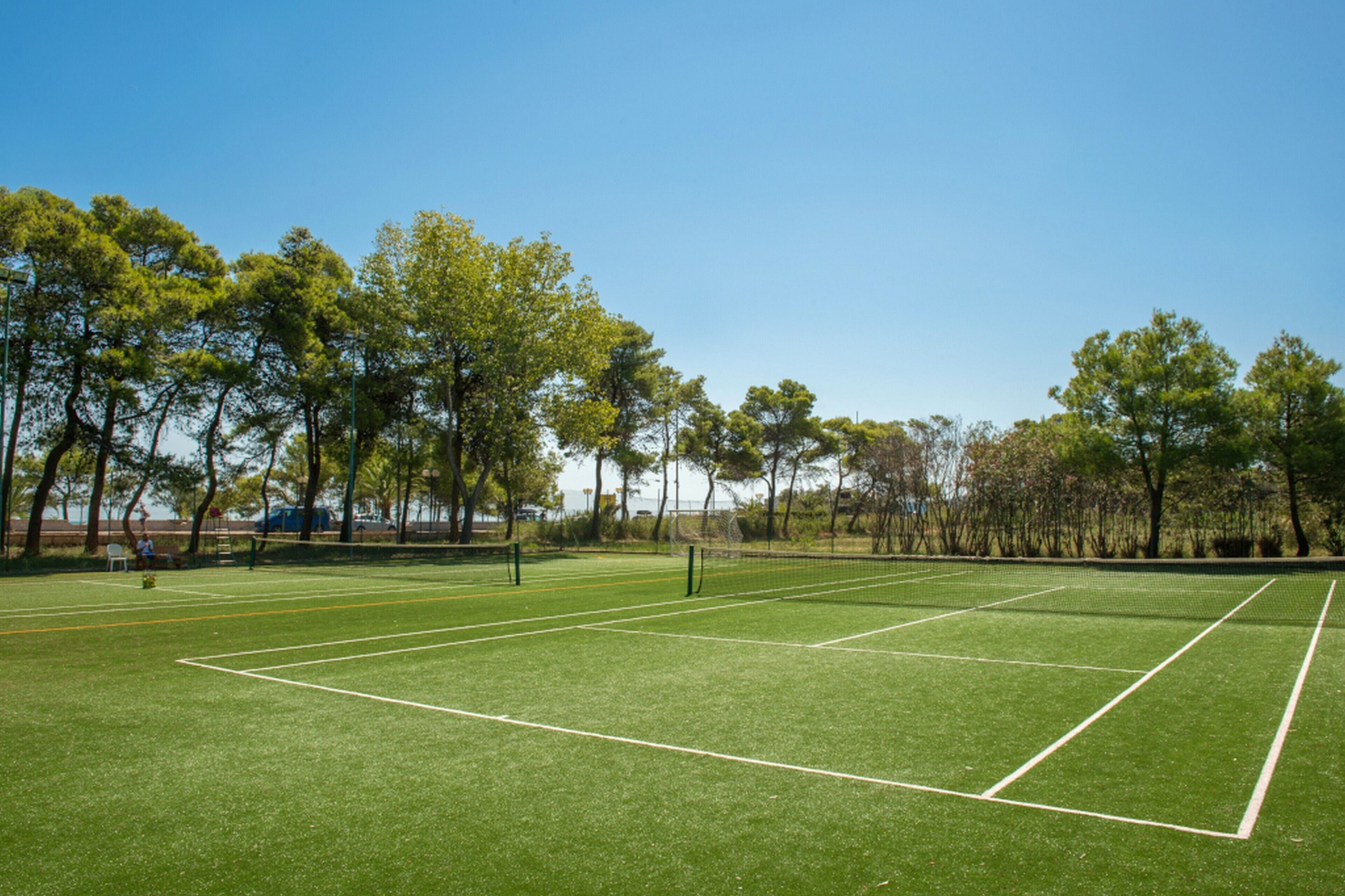 Een tennisbaan met een net, omringd door bomen en een heldere lucht.