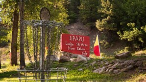 A disc golf basket and a sign indicating a lodge, ski area, store, cabins, and cafe.