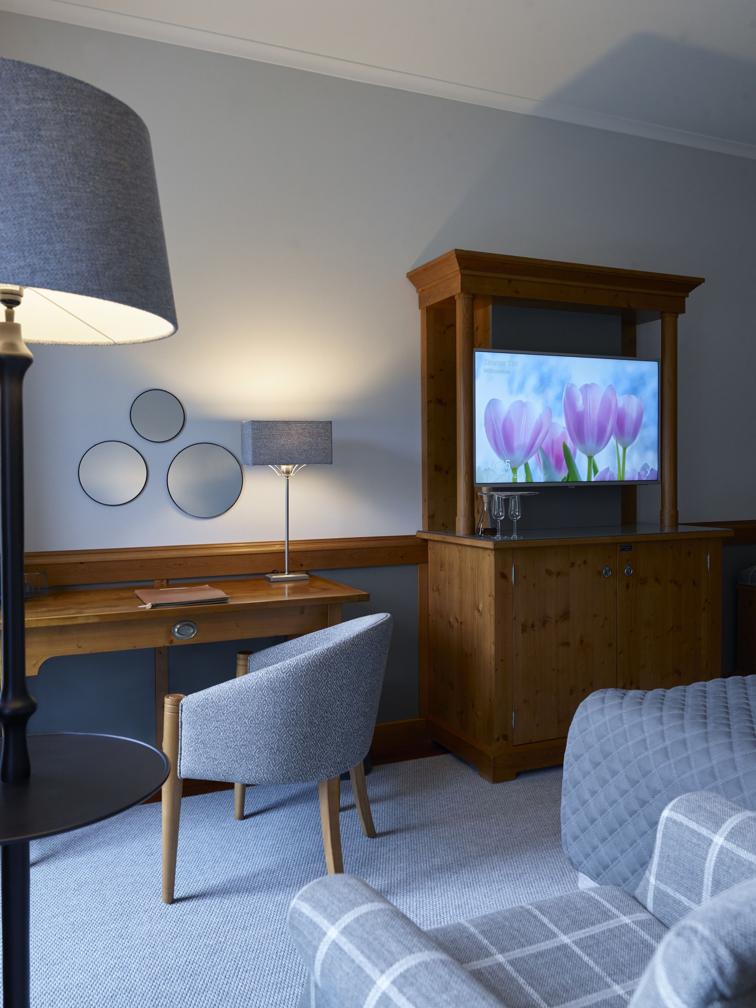 superior room | living area | tv, books