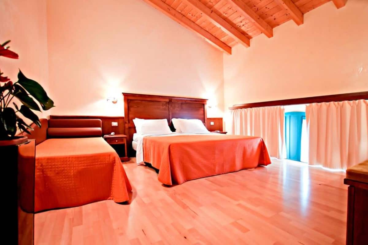 Une chambre avec deux lits, un plancher en bois, une grande fen être avec des rideaux et une plante.