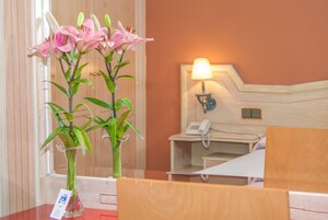 Minibár, gyerekágy/csecsemőágy (felár ellenében) és ingyenes wifi