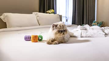 Suíte luxo, 1 cama King | 1 quarto, roupas de cama antialérgicas, frigobar, cofres nos quartos