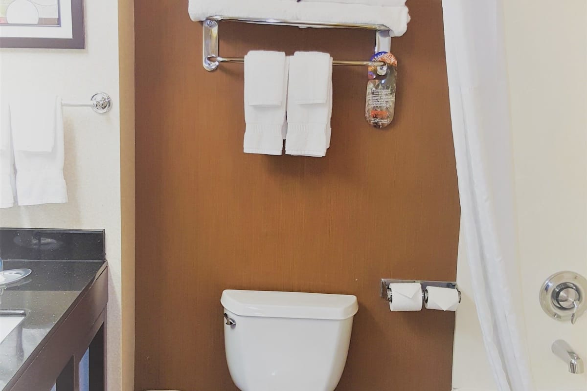 combined shower/bathtub, free toiletries, hair dryer, towels