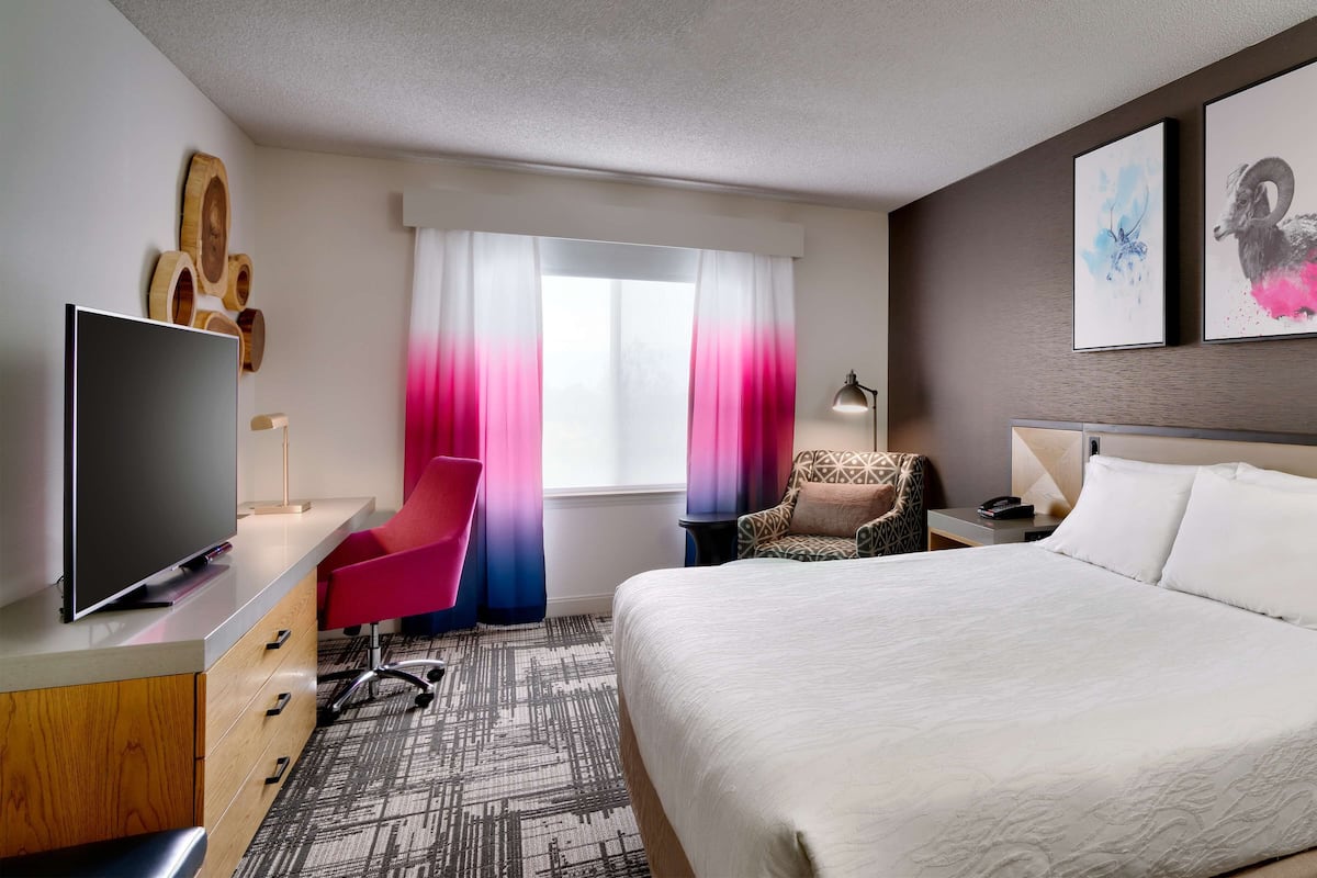 Evolution-værelse, kingsize-seng | Pengeskab på værelset, skrivebord, strygejern/strygebræt