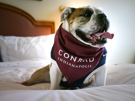 Conrad Indianapolis - Image 104