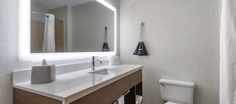 Holiday Inn Express Charlotte West - Gastonia by IHG.