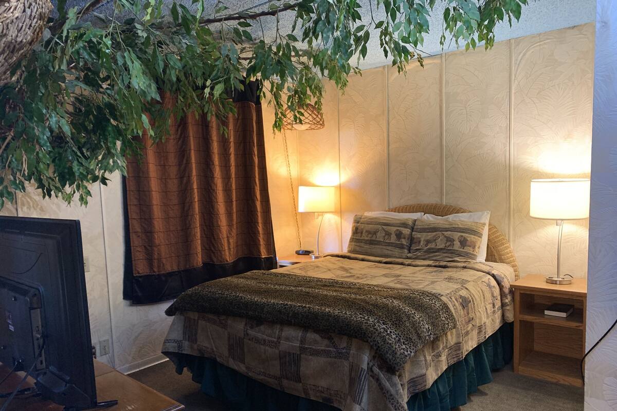 A bedroom with a bed, two bedside lamps, a TV on a stand, and a plant hanging above the bed.