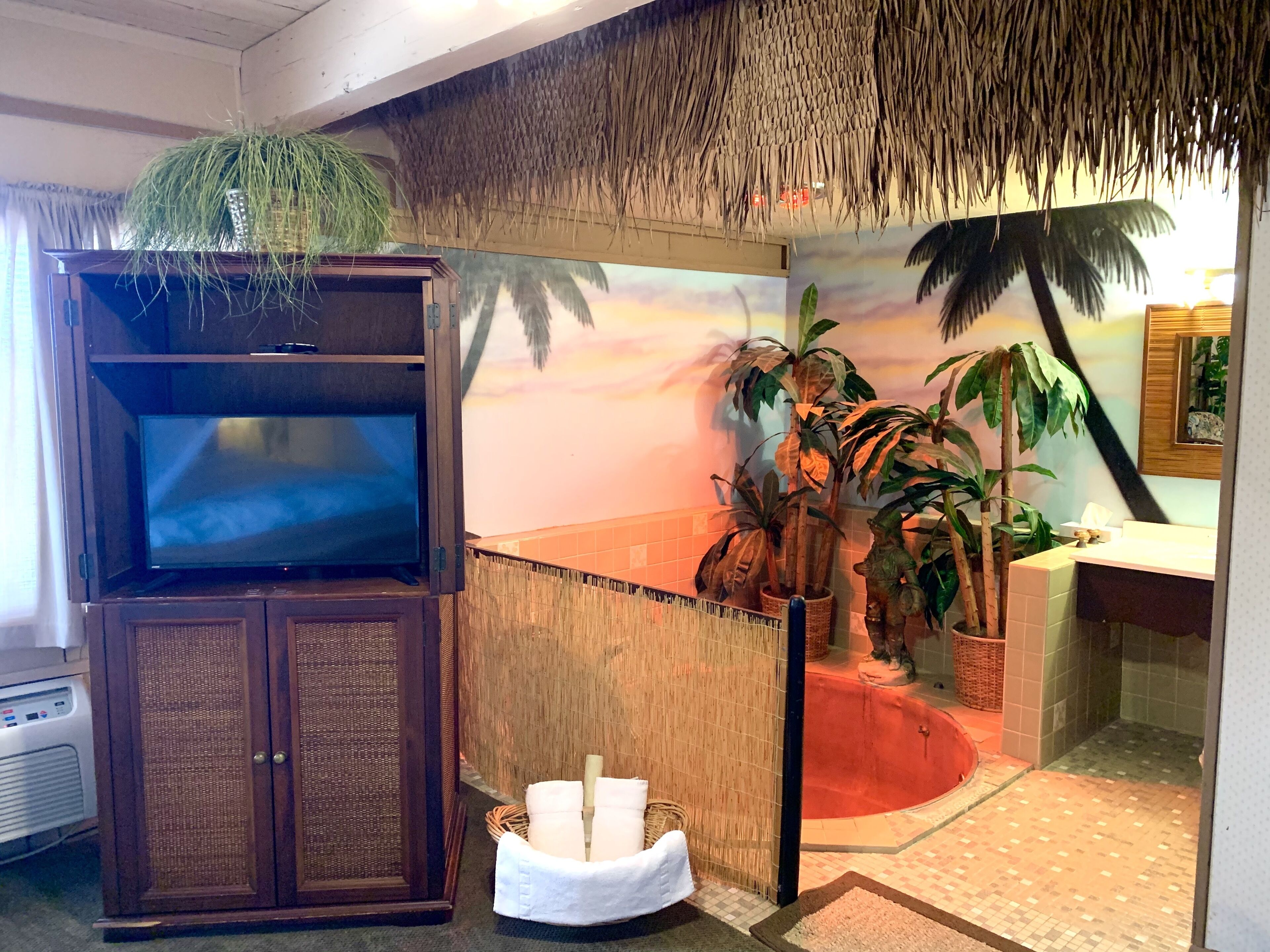 Habitación con televisión, techo de paja, mural con motivos tropicales y una pequeña zona de piscina.