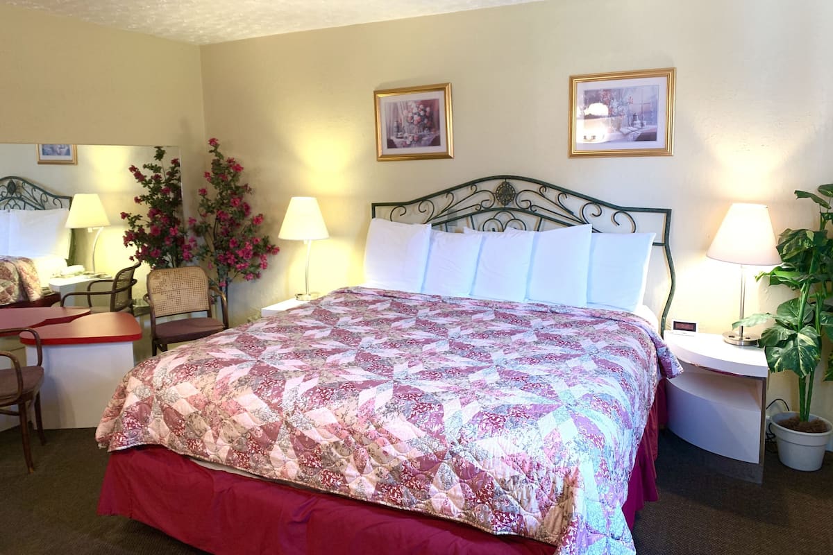 A neatly arranged hotel room with a bed, two bedside tables, a chair, a desk, and a potted plant.