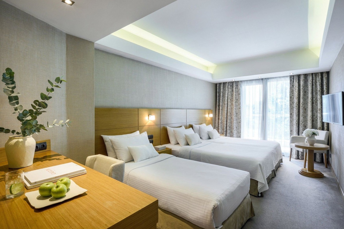 Habitación de hotel con dos camas, un escritorio con una computadora portátil y manzanas, un florero con hojas verdes, una silla y un televisor en la pared.