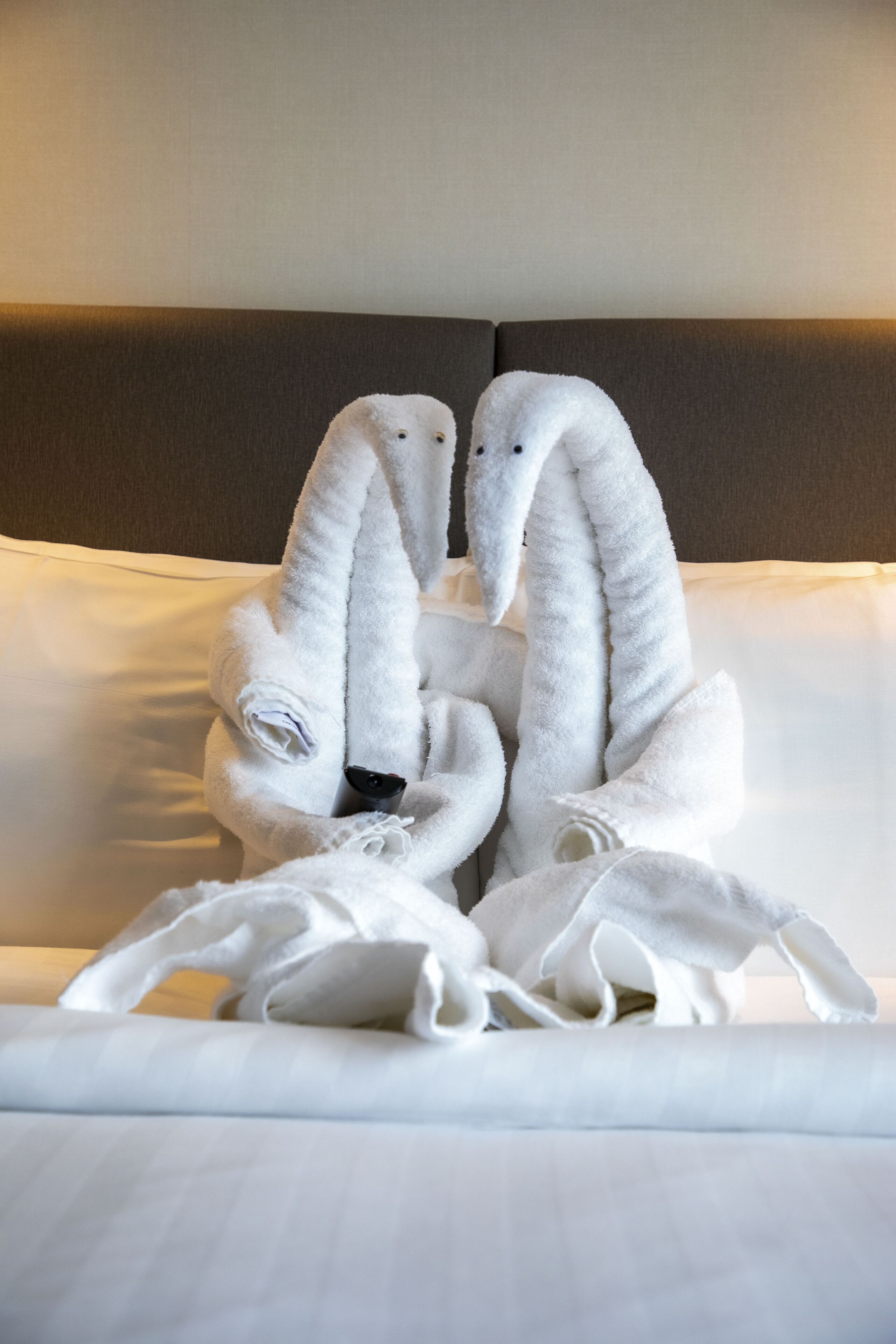 1 bedroom, hypo-allergenic bedding, in-room safe, desk