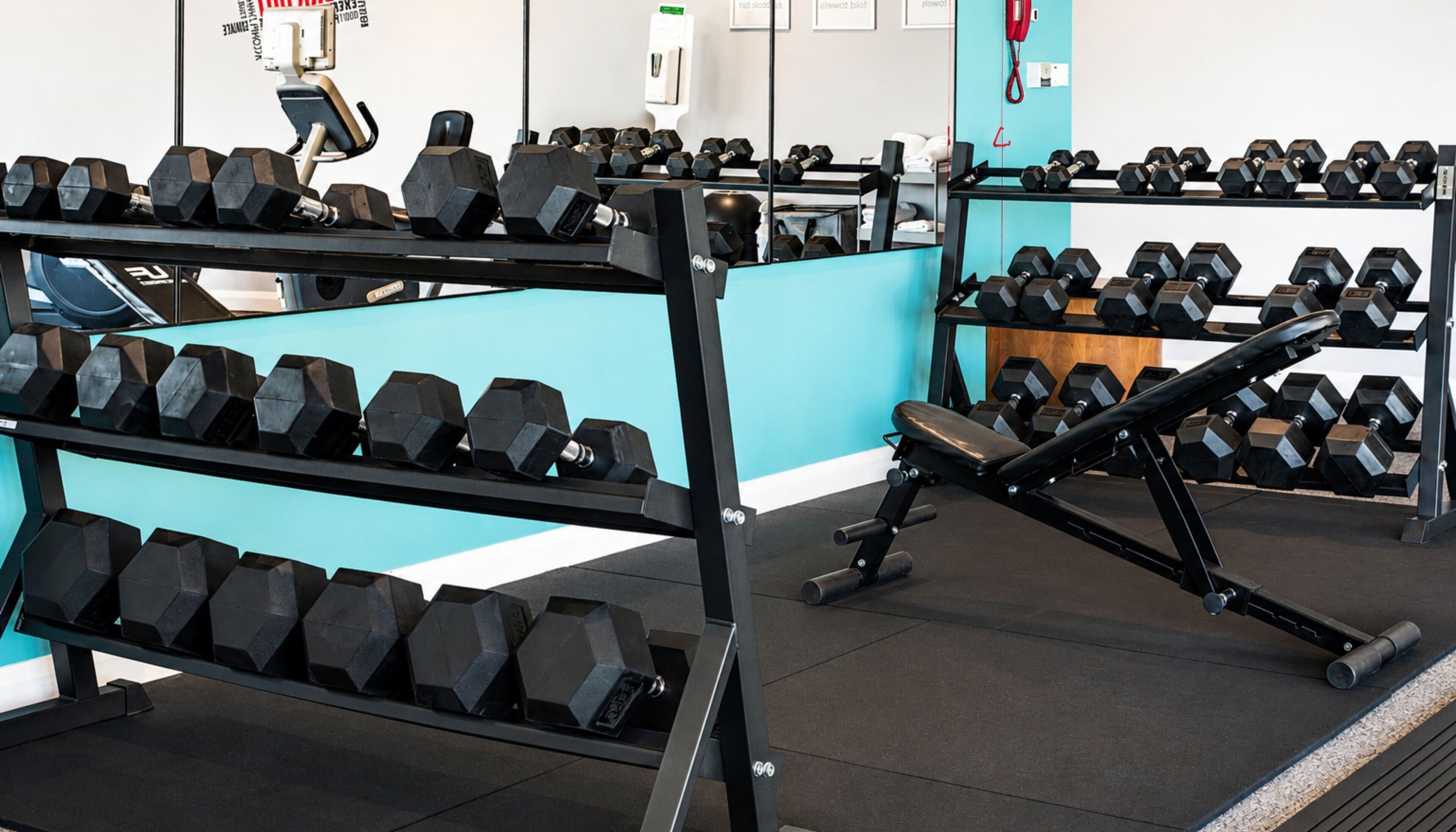 A gym with multiple racks of dumbbells, exercise equipment, and a blue wall.