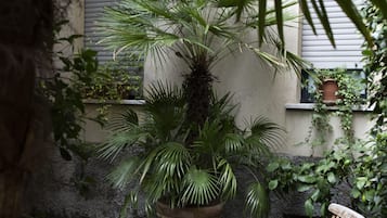 Jardín