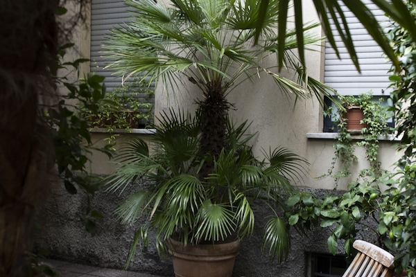 Jardim