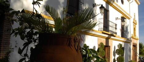 Una maceta de terracota con una planta frente a un edificio con balcones y una ventana.