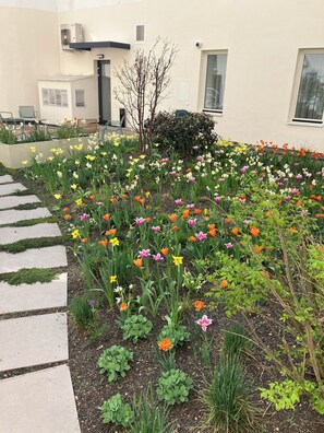 Terraço/pátio