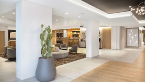 Eine moderne Hotelhalle mit Sitzgelegenheiten, einer Bar und einer großen Sukkulente.