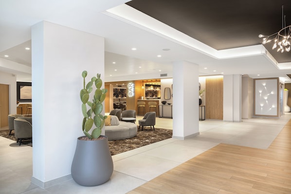 A modern hotel lobby with a seating area, a bar, and a large cactus plant.