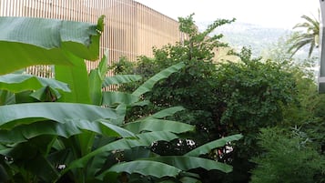 Un exuberante jardín con hojas de plátano grandes y follaje denso, una valla de madera y una vista de un paisaje montañoso al fondo.