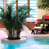 Indoor pool, sun loungers