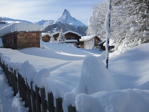 Snowshoeing