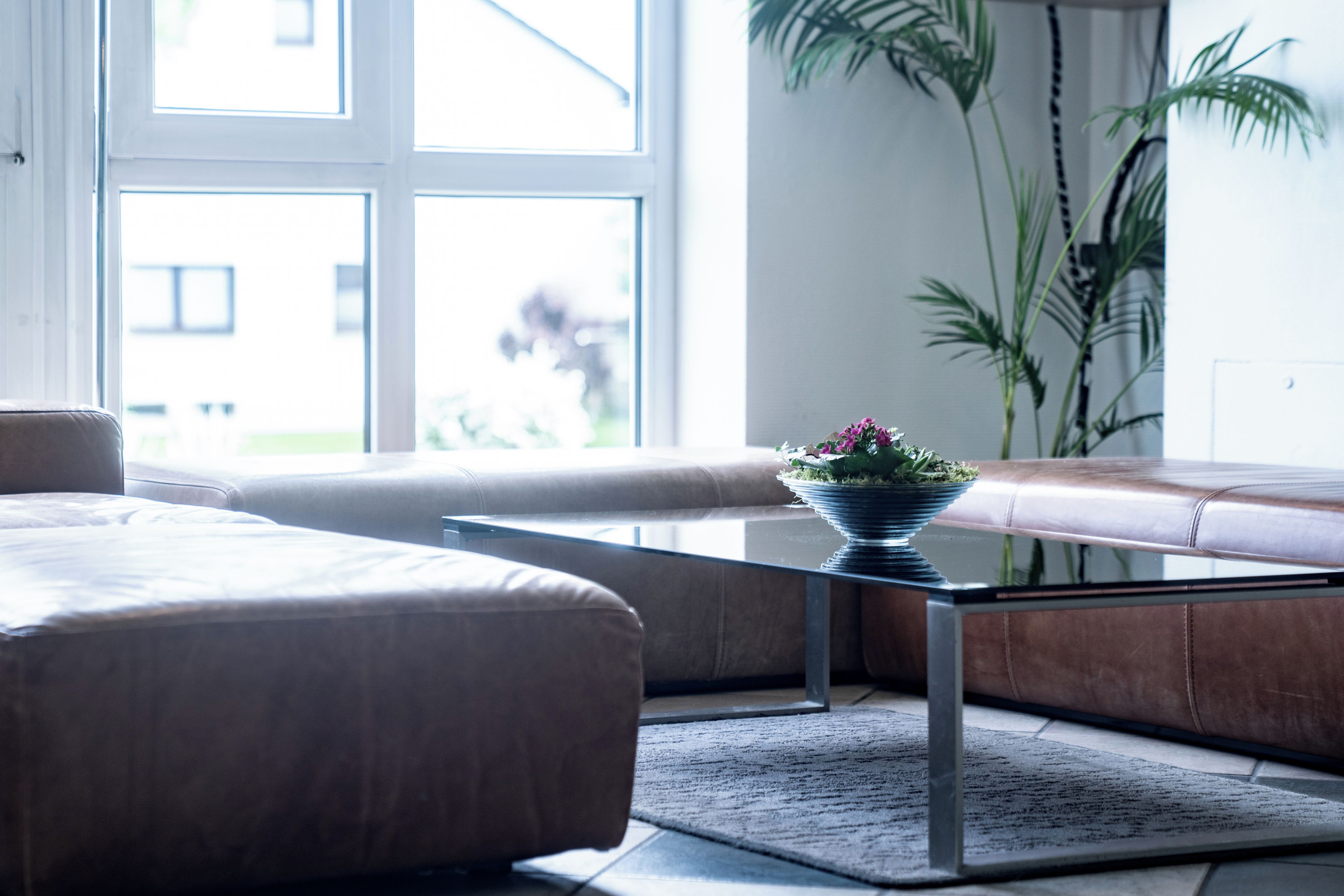 Uma sala de estar moderna com um sofá, uma mesa de centro de vidro e um vaso com planta.